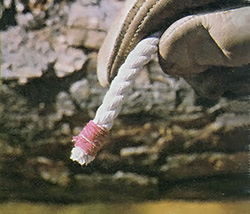 Common whipping holds together the end of a length of cotton rope.